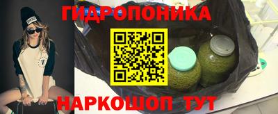 прущие грибы Долгопрудный