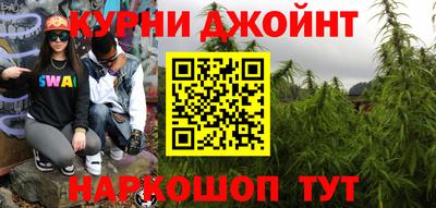 индика Дмитров