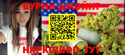 индика Дмитров