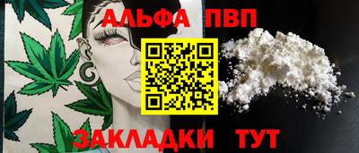 индика Дмитров