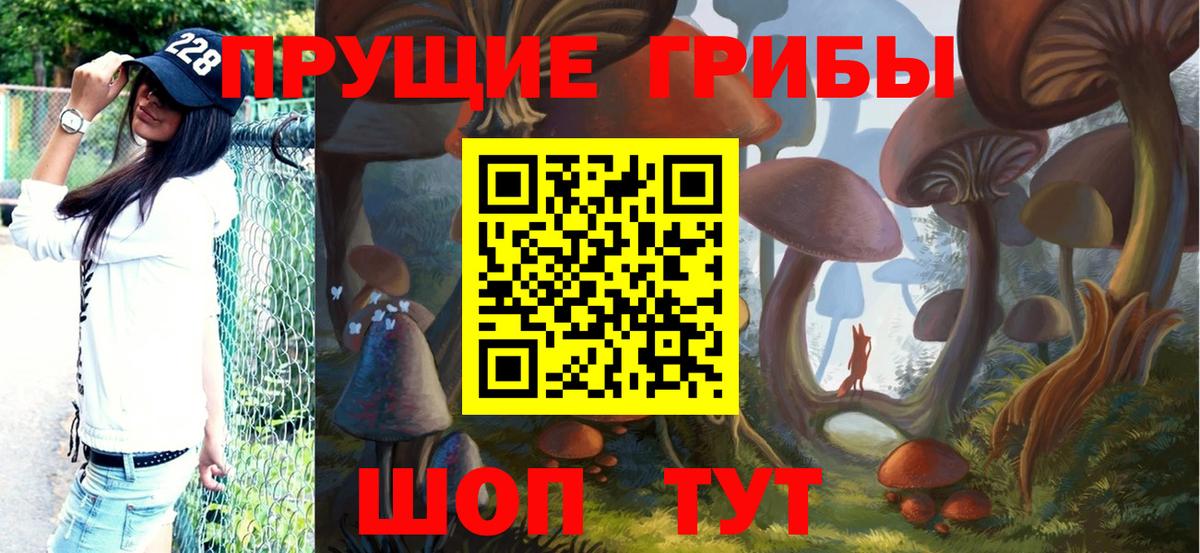 Галлюциногенные грибы MAGIC MUSHROOMS Асбест