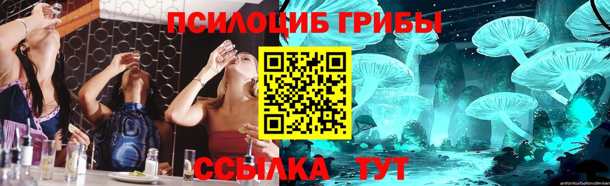 Псилоцибиновые грибы MAGIC MUSHROOMS  Вход с VPN  Псилоцибиновые грибы мухоморы  Асбест 